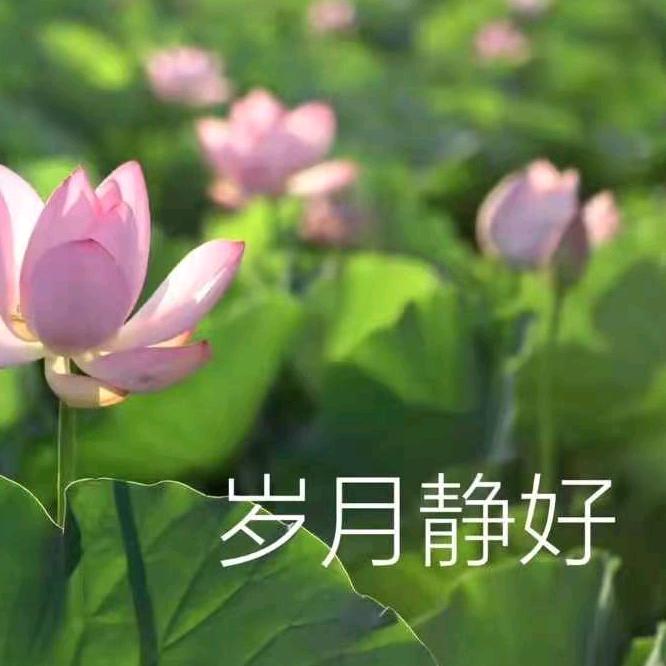 扶桑