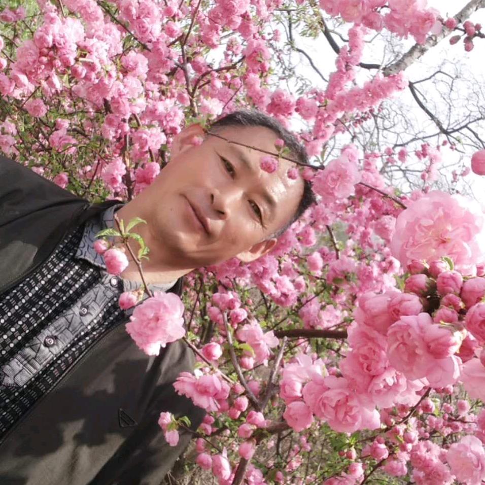 爱是神仙
