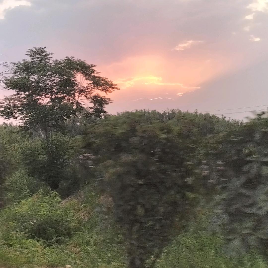 开心妞妞_259764215