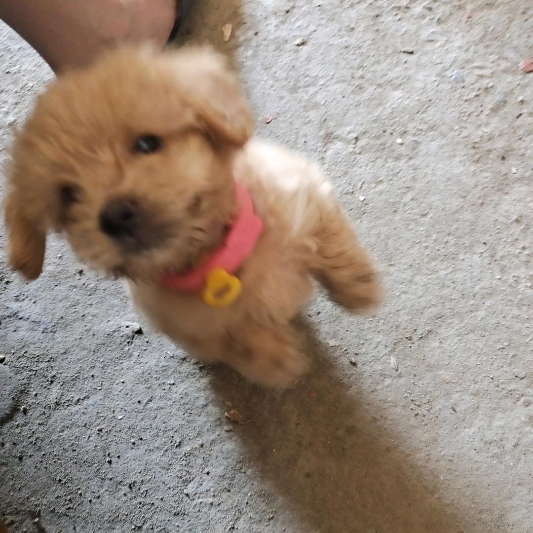 行至