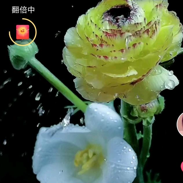 清贫