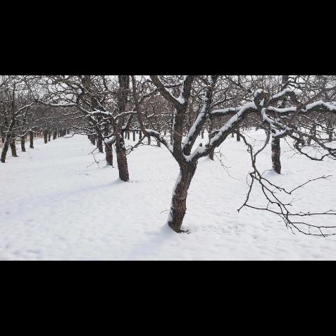 小贾水电：假百萬