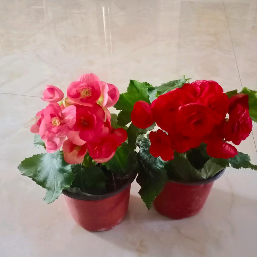 💞心心相连🍀