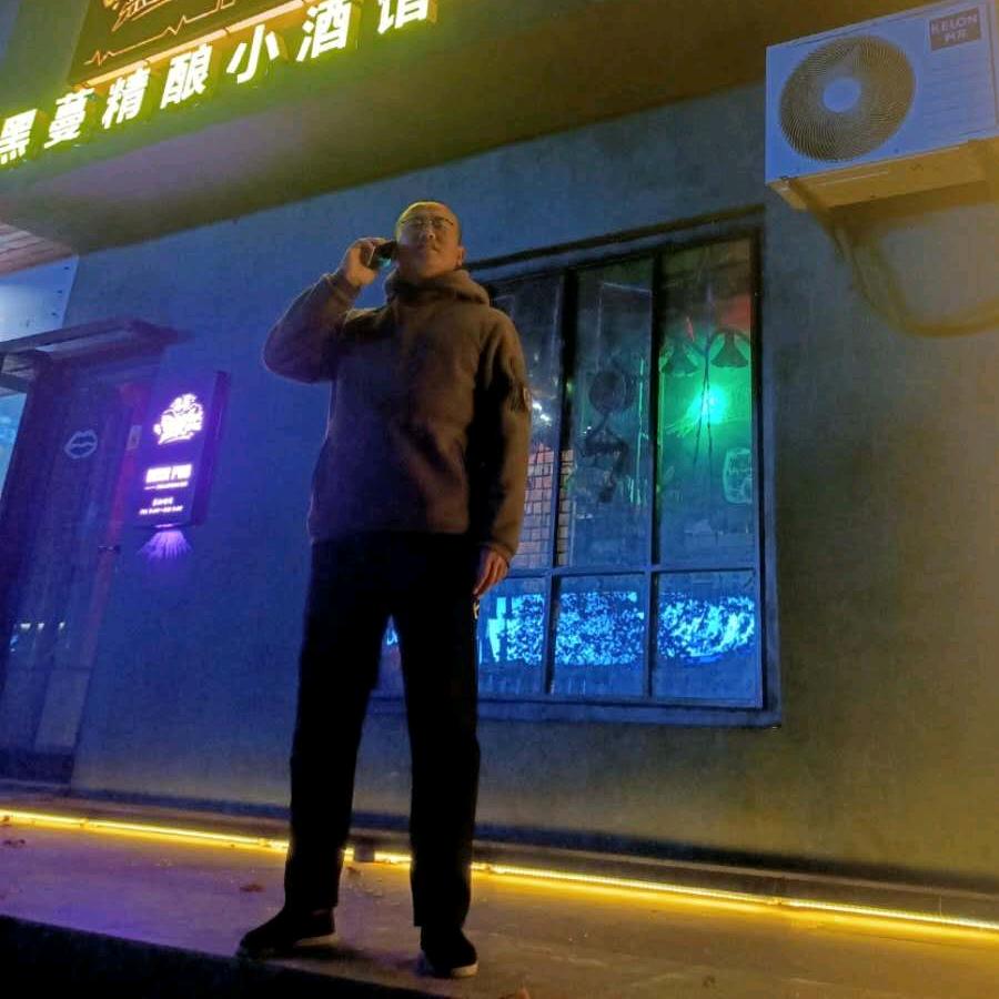 云中大鹏鸟