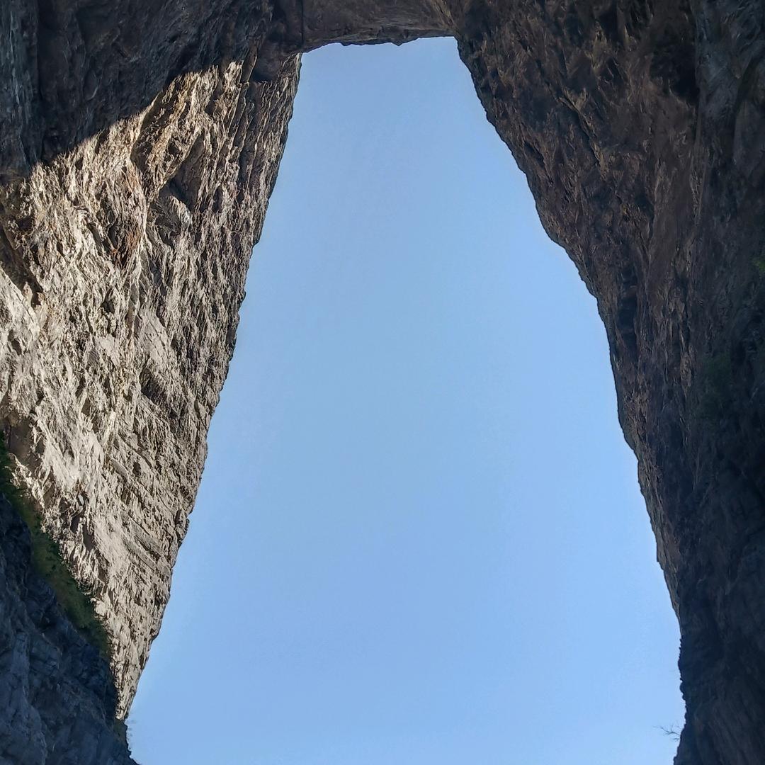 木已陈周