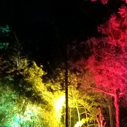 走自己的路，看自己的风景，感恩，知足。