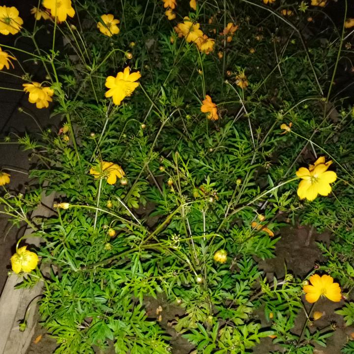 用户知足8177984339858知足