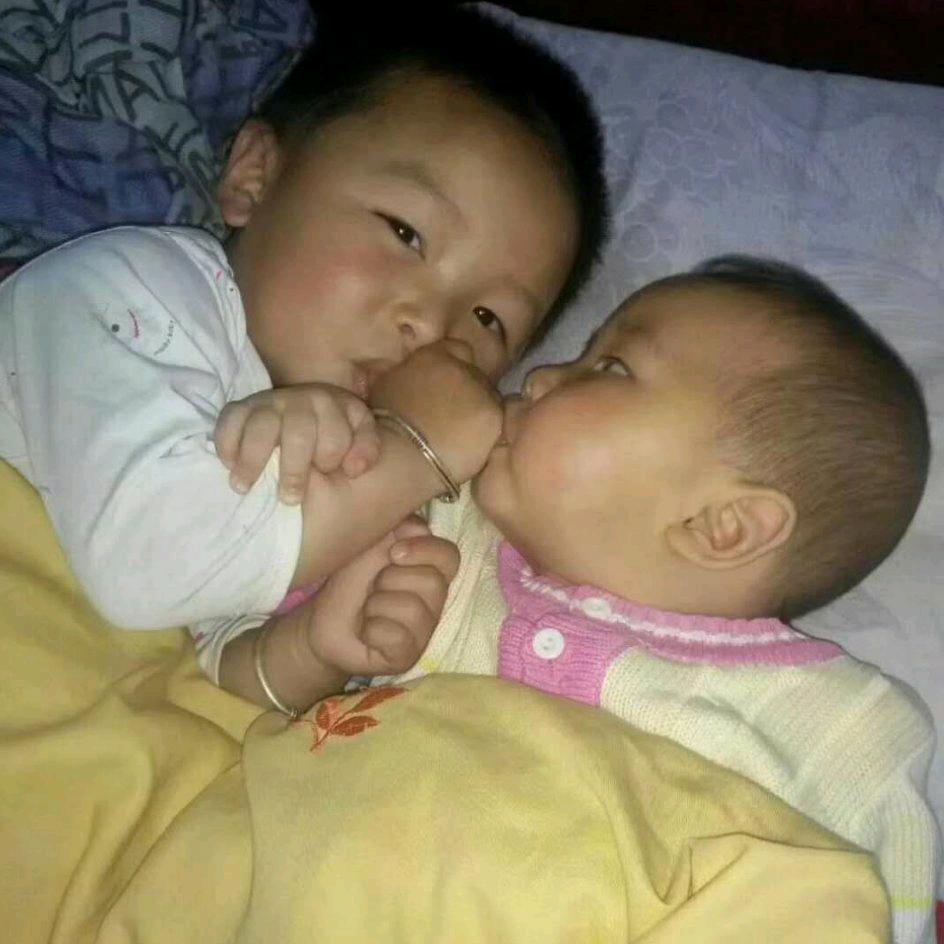 张$饲养$袁