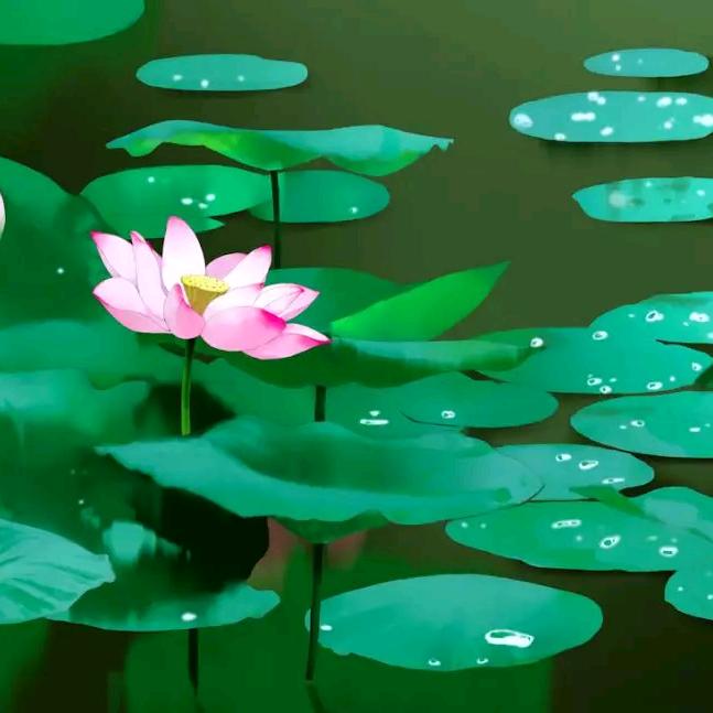 心静如水（拒私聊）🦋🎍