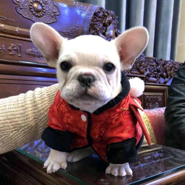 雪华