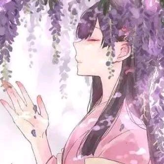 晴紫520