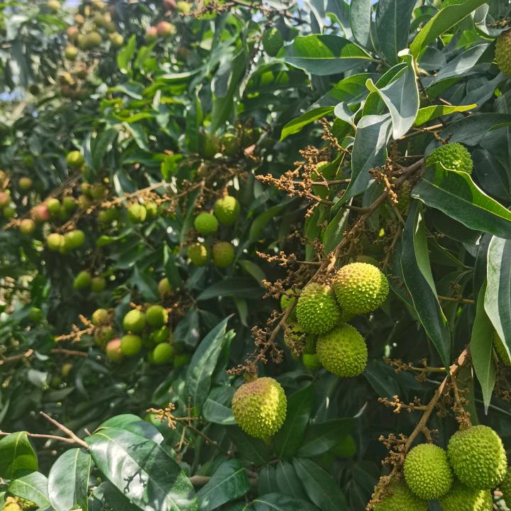 钢结构琉璃瓦制作