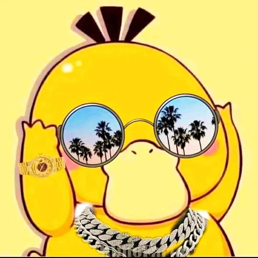 打龟日记