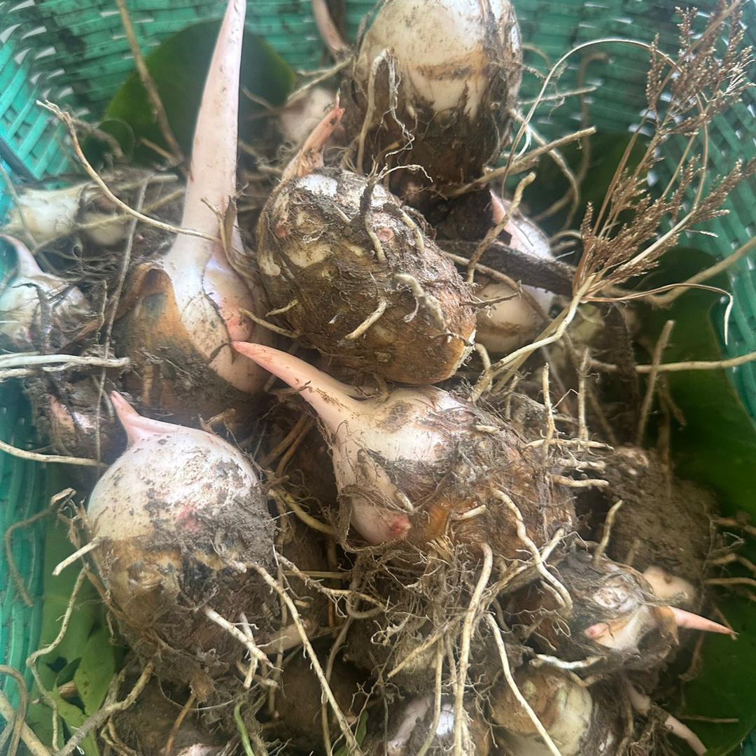 芳姐生鲜农产品