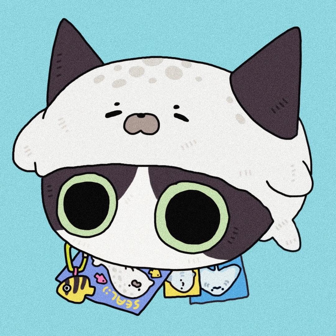 猫咪
