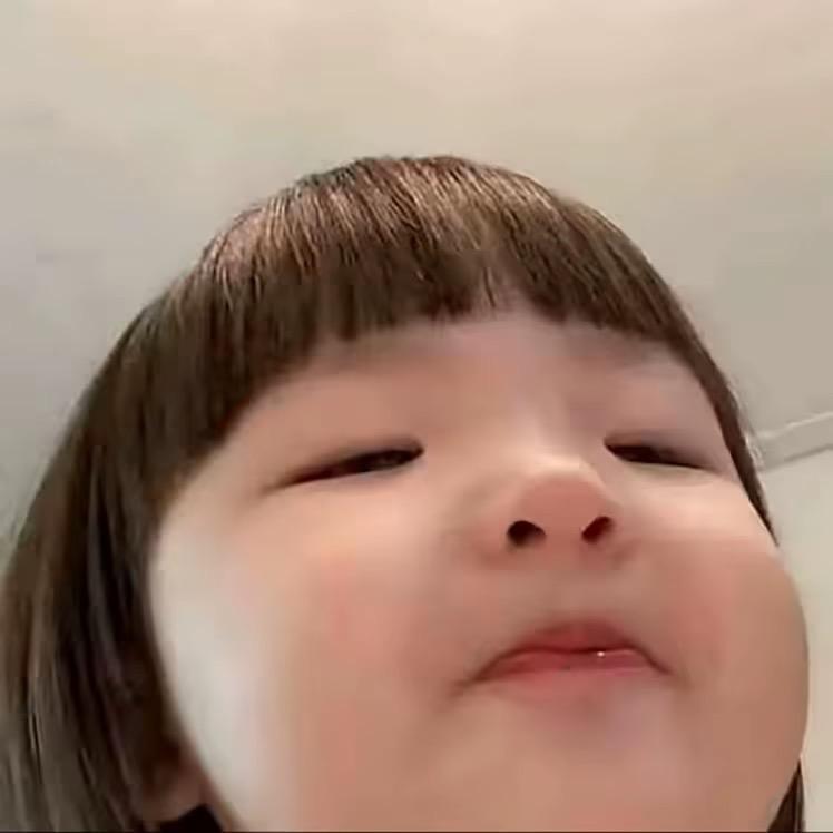 耗子