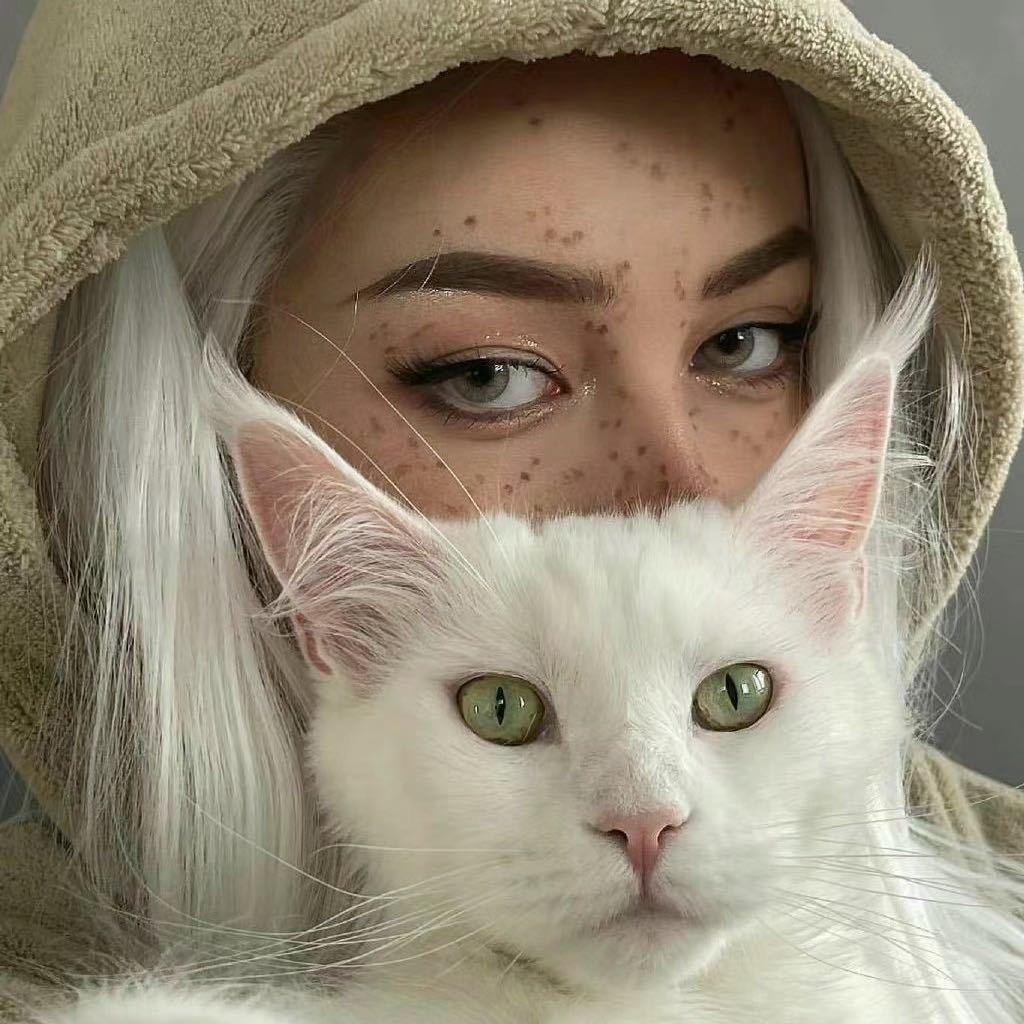 小别兔别又别了