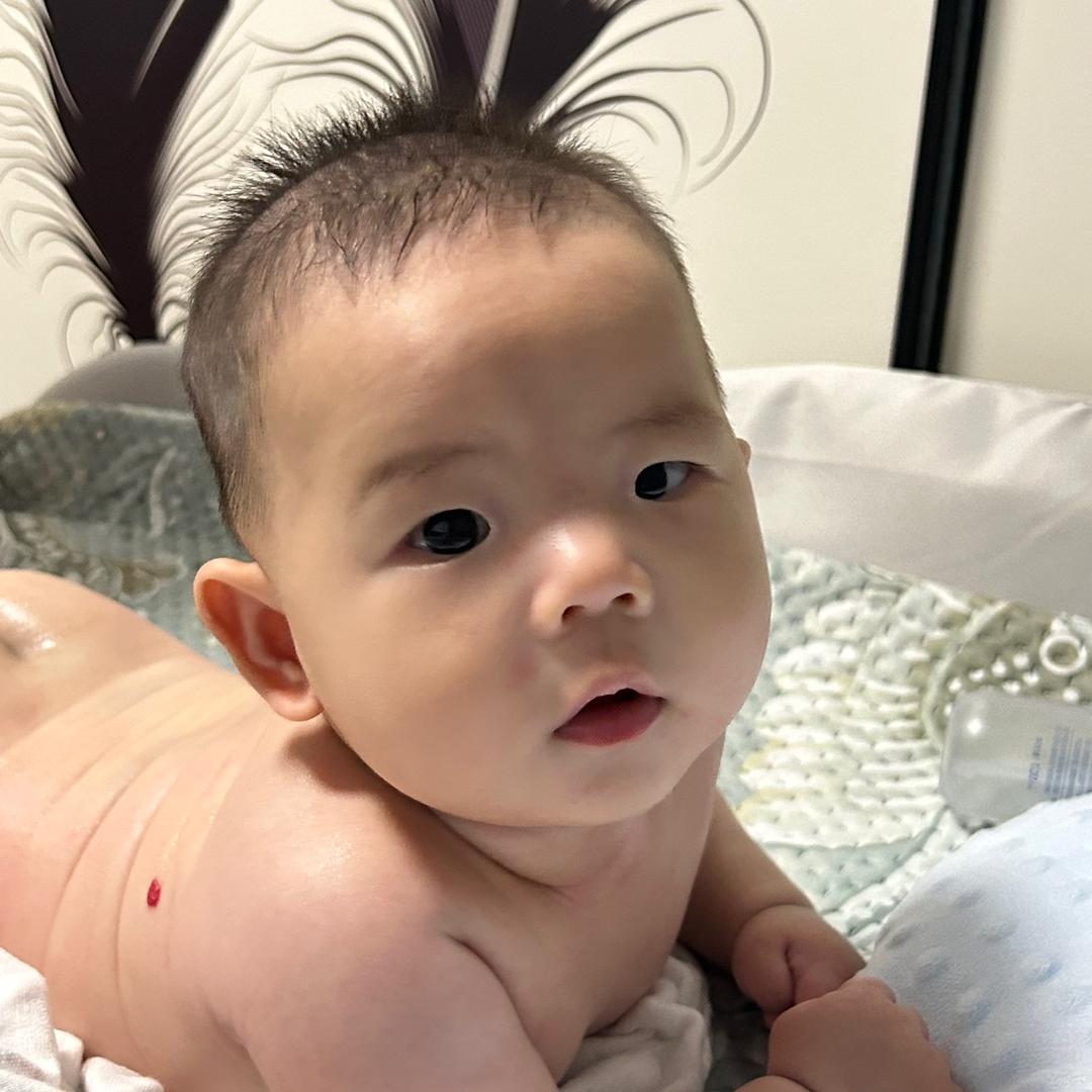 元宝的成长日记