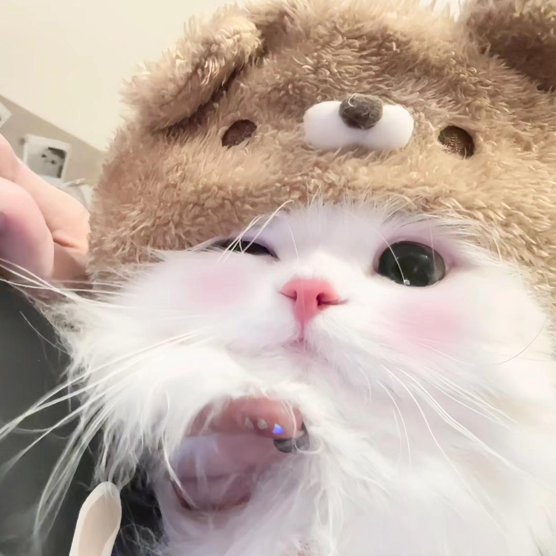 阿狸狸🦊（减肥版）