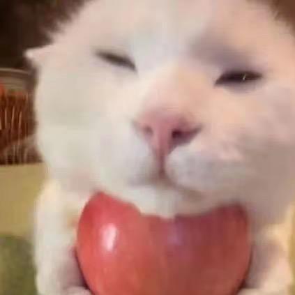 正正酱