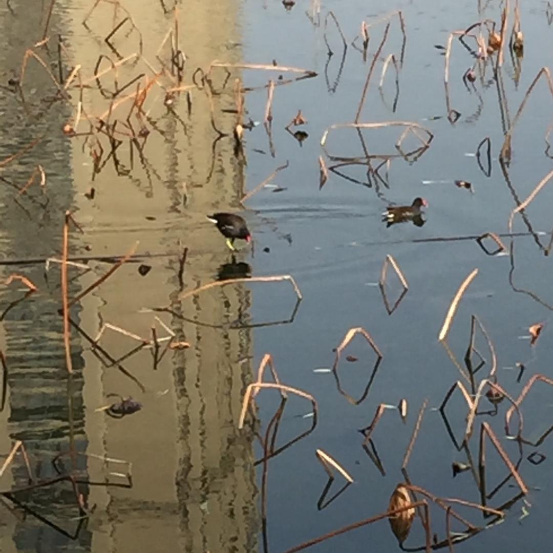 恒远掘进机全系备件