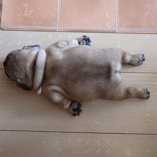 赫兹实验室