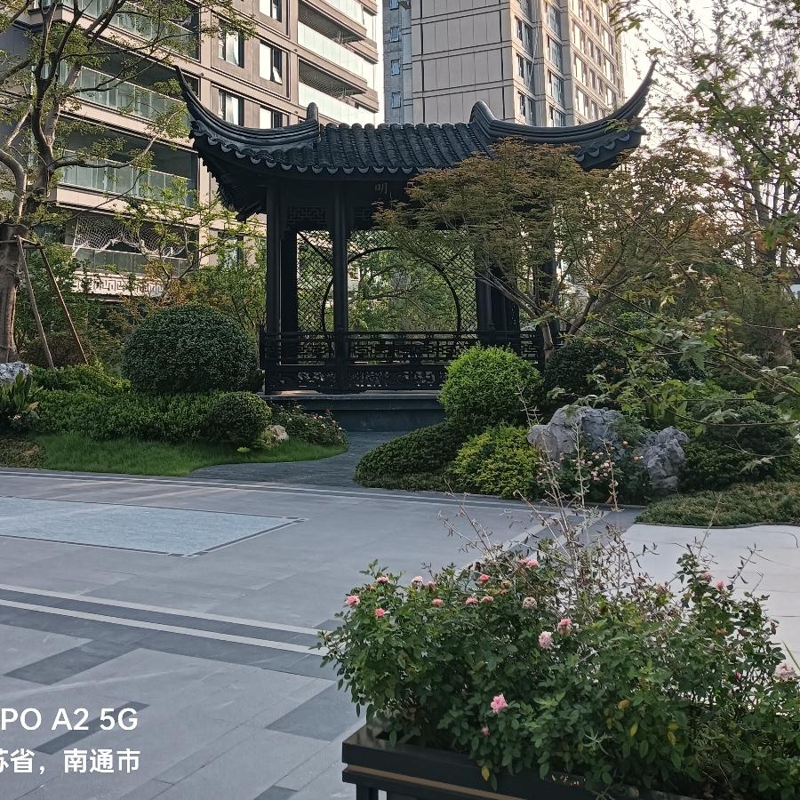 风谁舞动