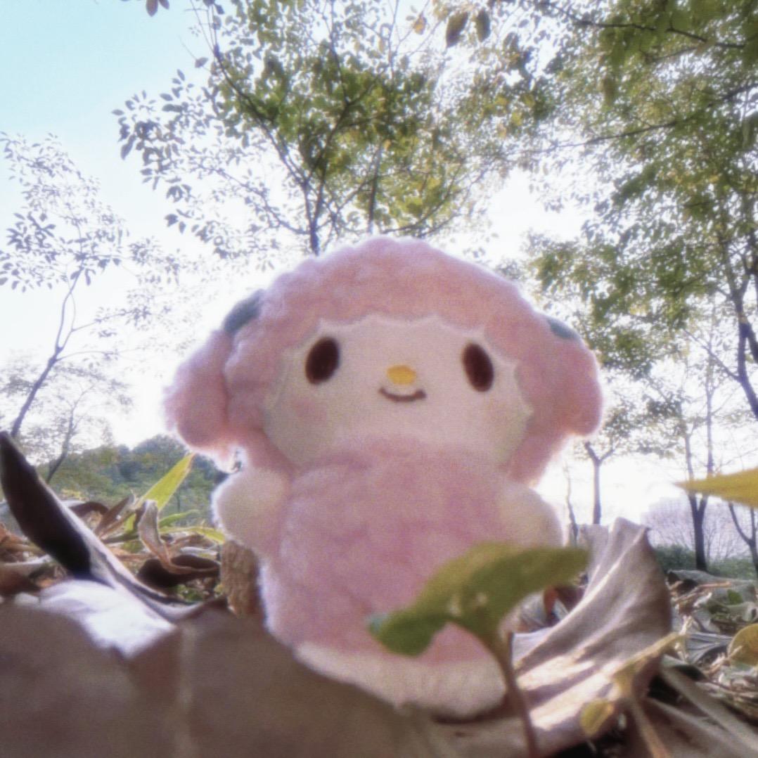 ^_−☆qq