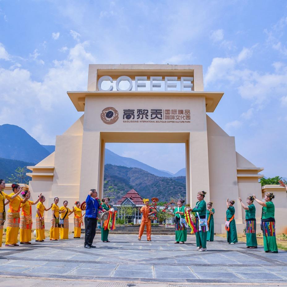 潞江坝咖啡庄园——比顿