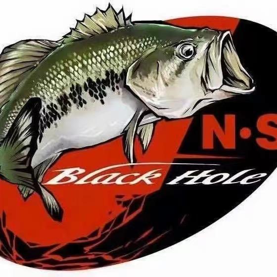 N•Sblackhole