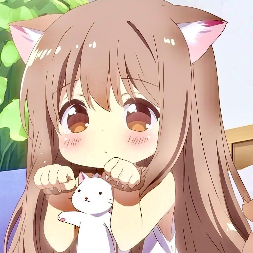 麦芽糖m416