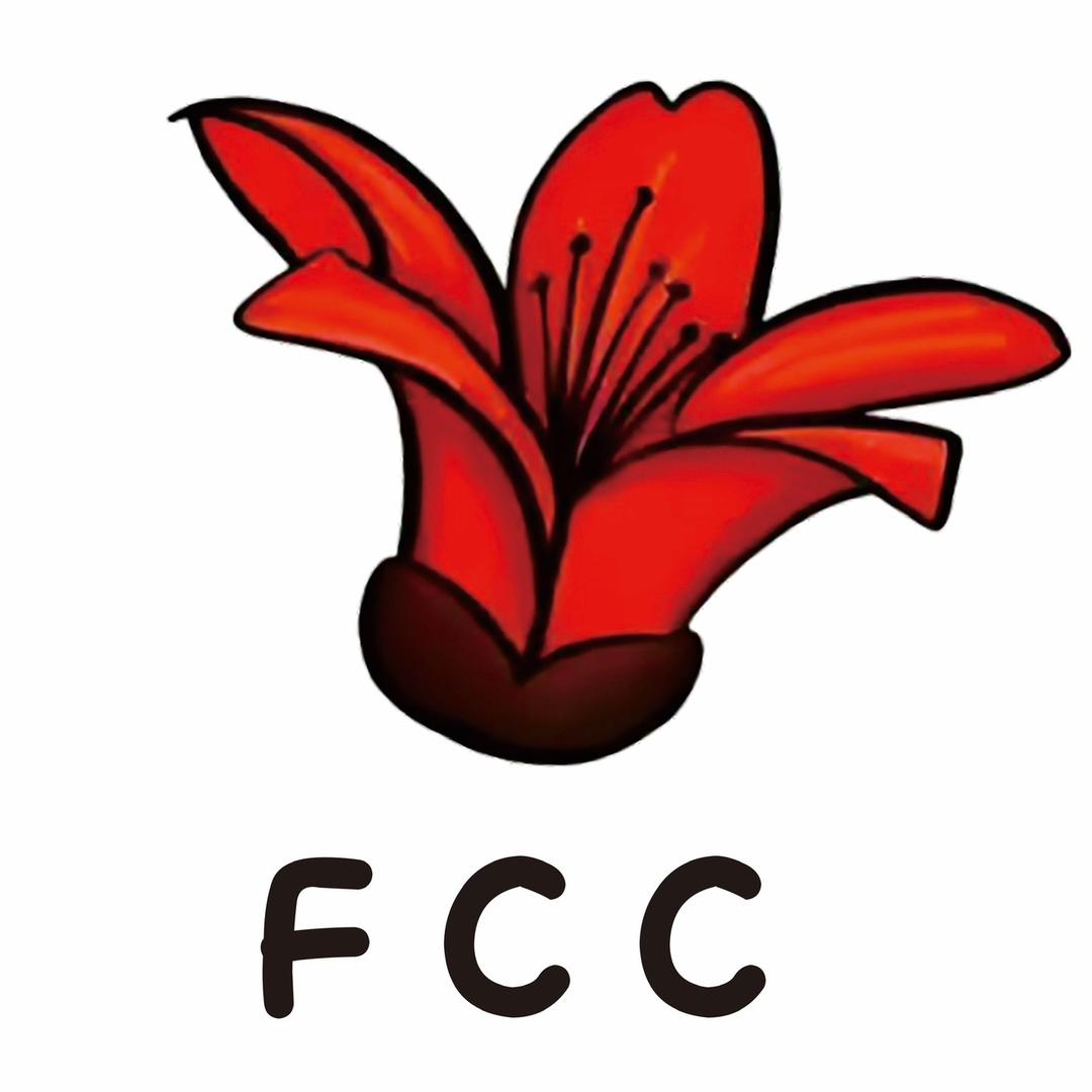 FCC-汽车维修改装