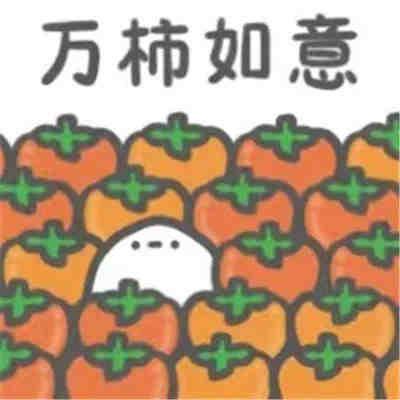下一个就上岸！