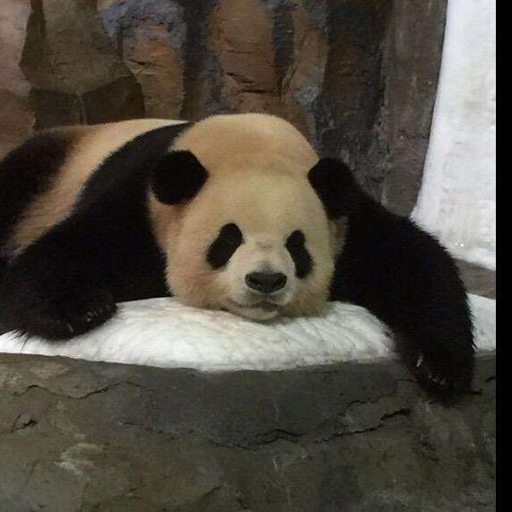 文周周