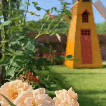 热爱生活的女设计师