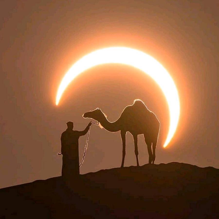 沐沐芭芭隐男(❁´◡`❁)*✲ﾟ*