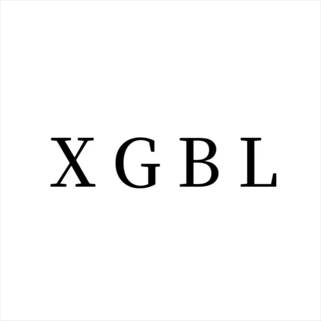 XGBL二哥精品女鞋