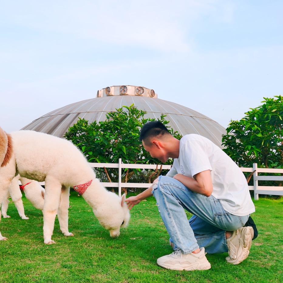 徐老板（绿植供应链）