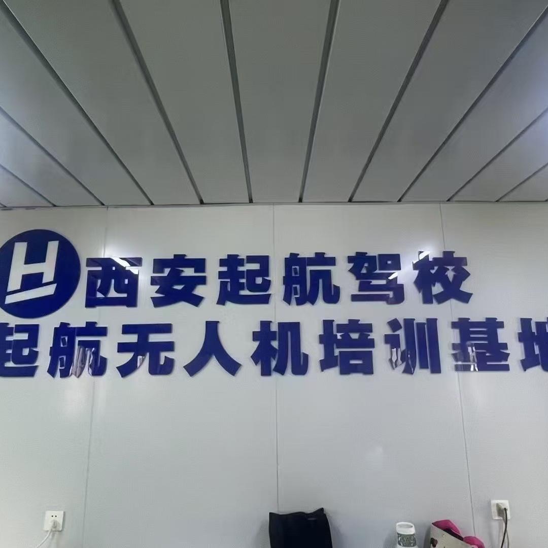 安之若命 重生