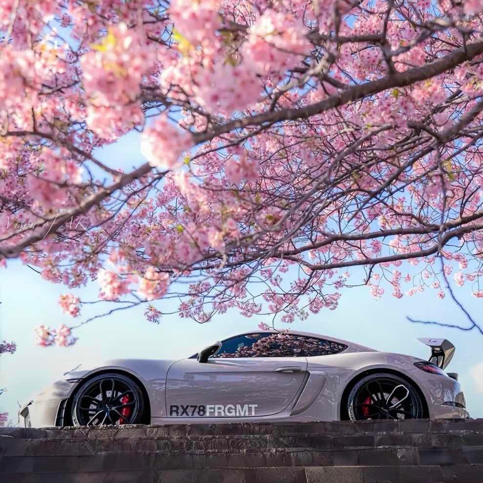 如果爱比泪水多