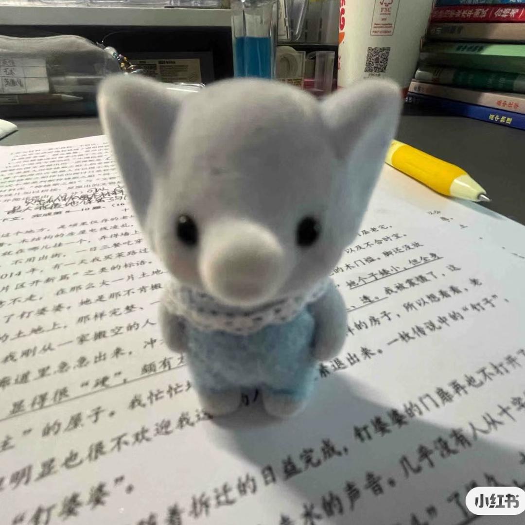 口苗