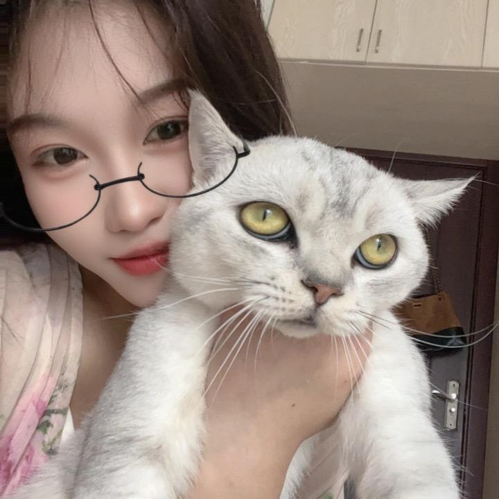 左心房企服小丽