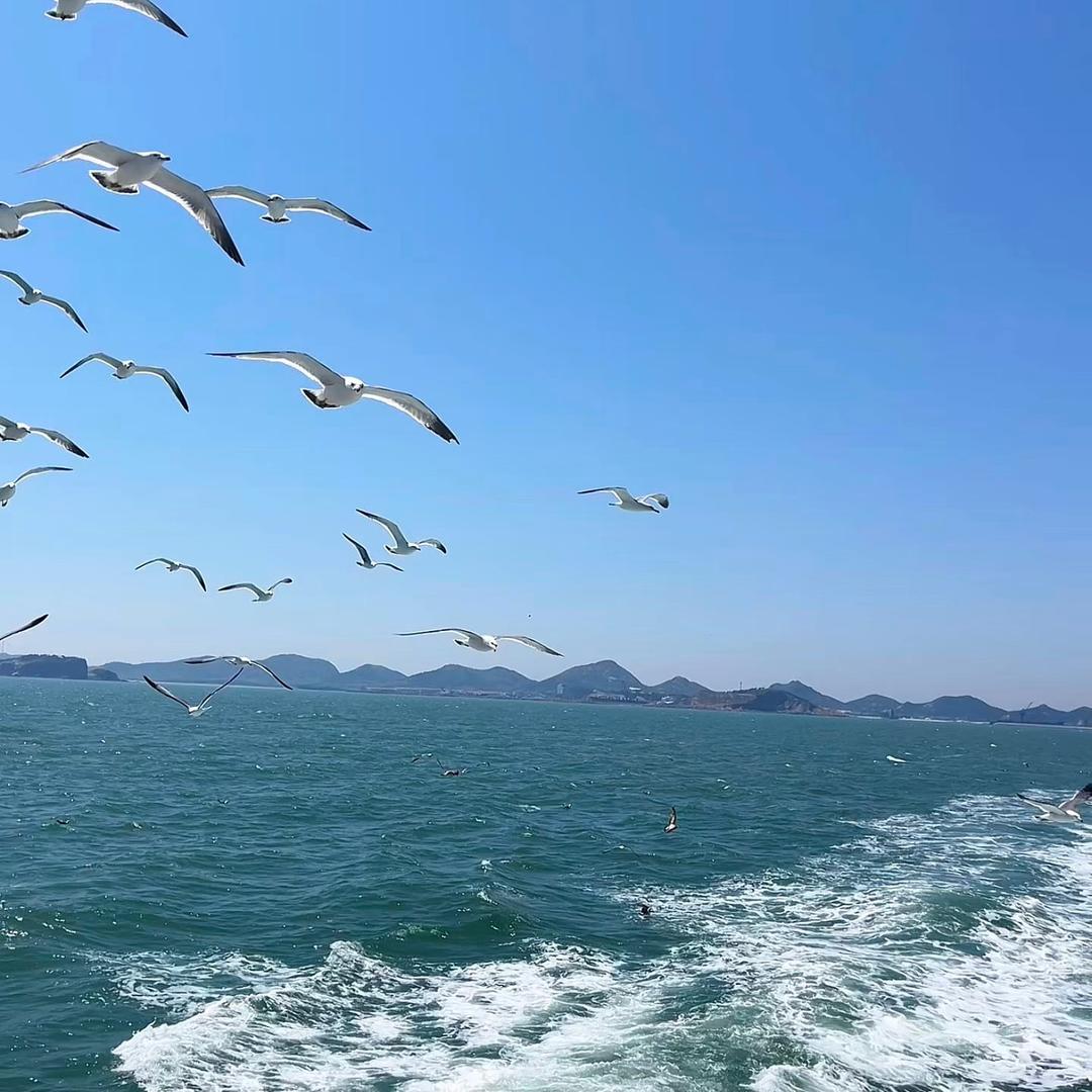 日系杂货铺