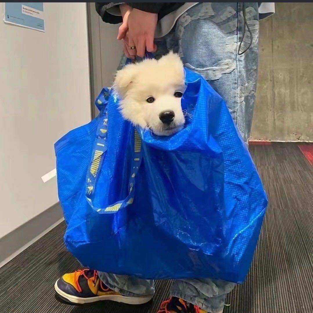 深圳市旺又源电子科技有限公司直播号