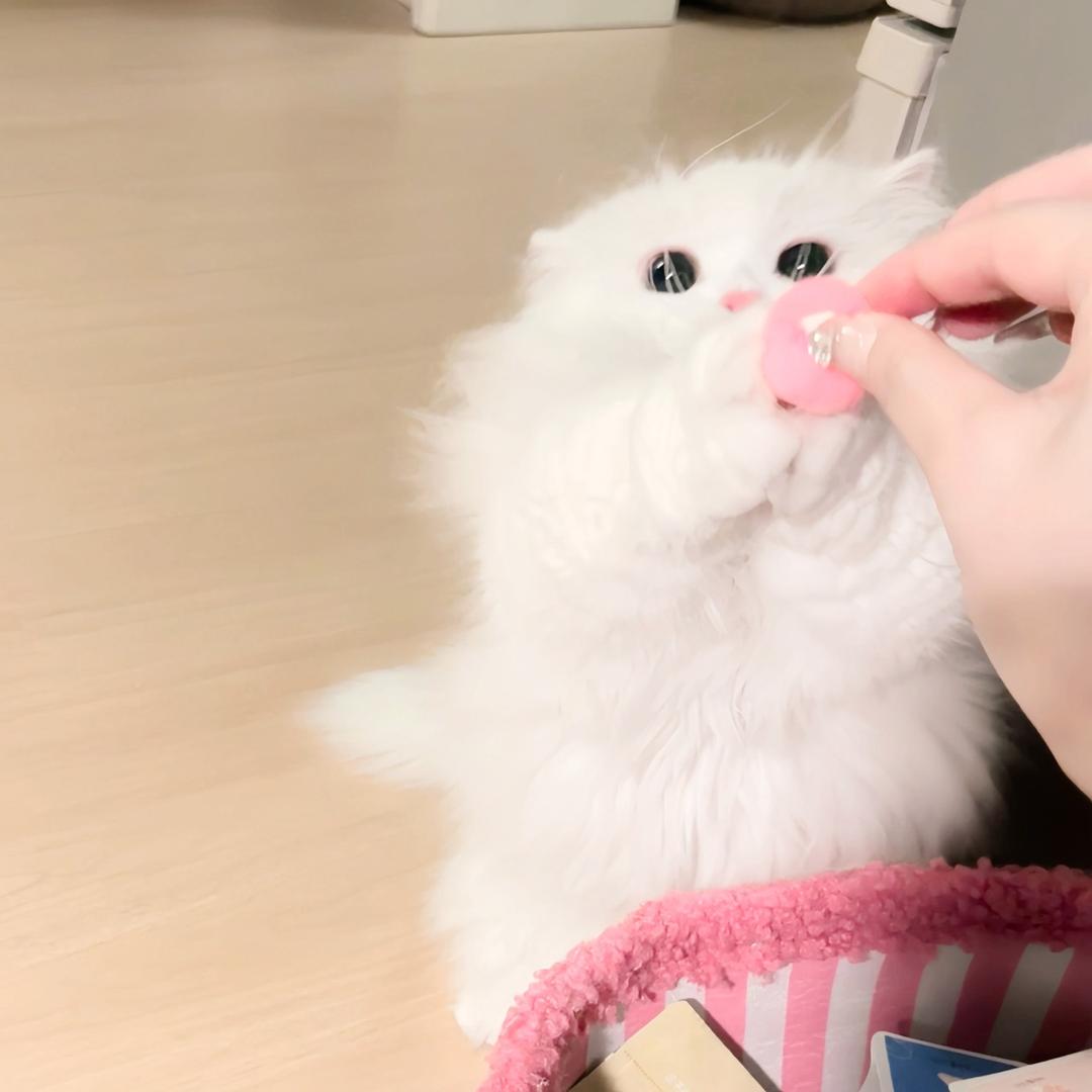 怡の