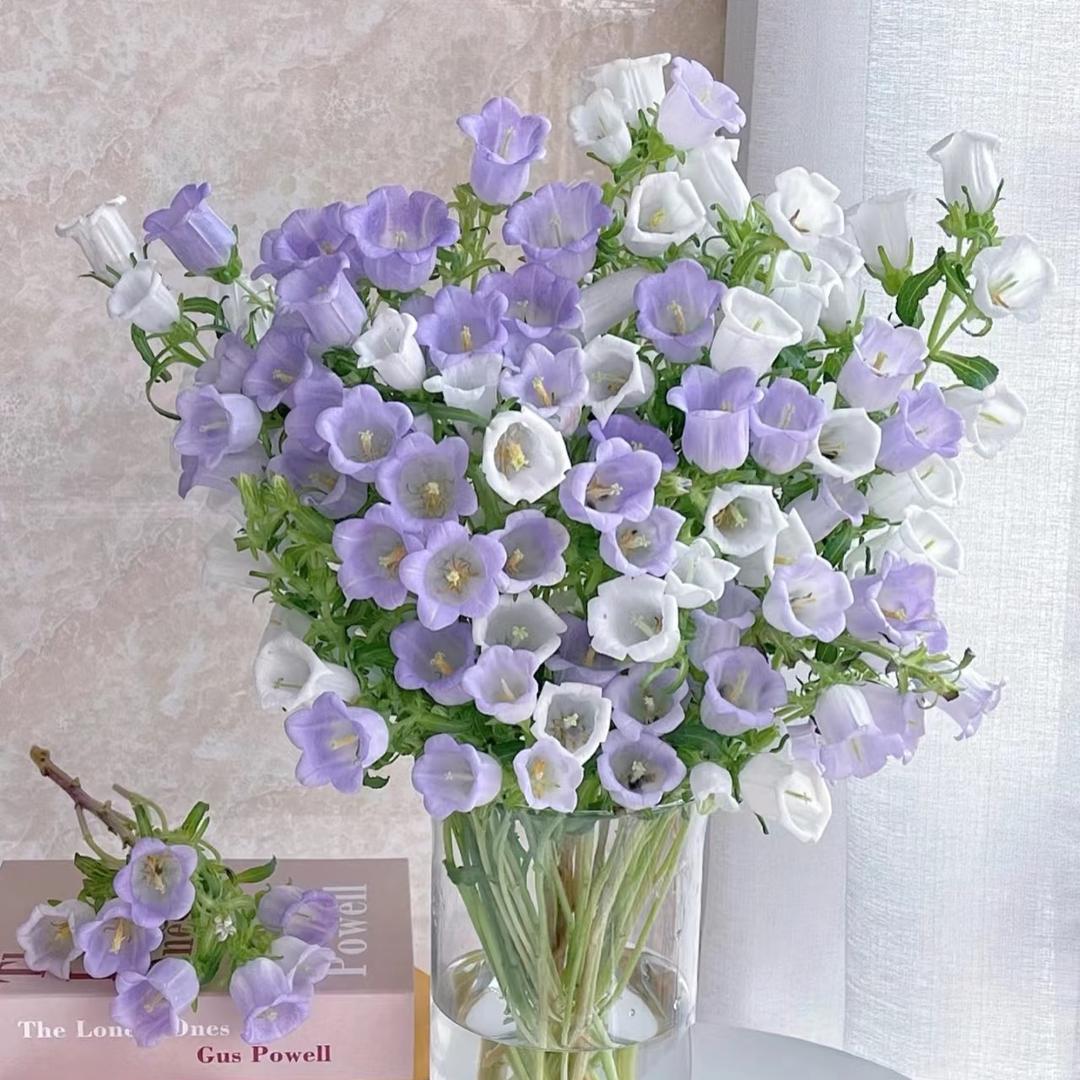 花 花好漂亮