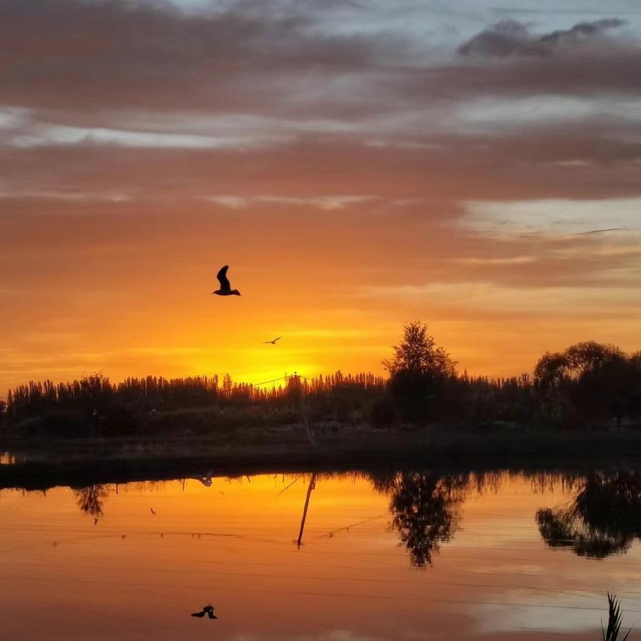 文案、温案……