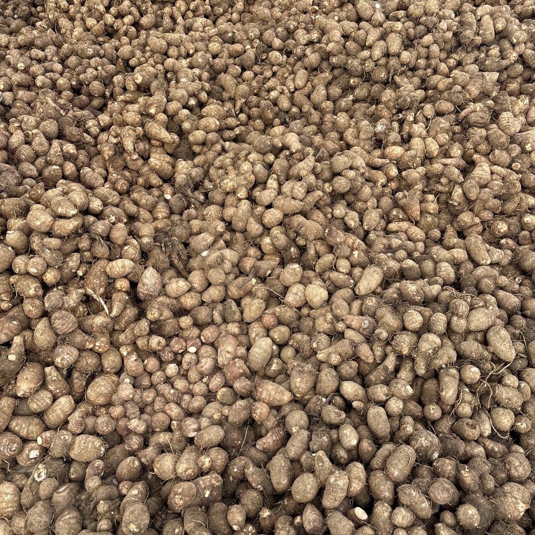 领秀胶东供销社