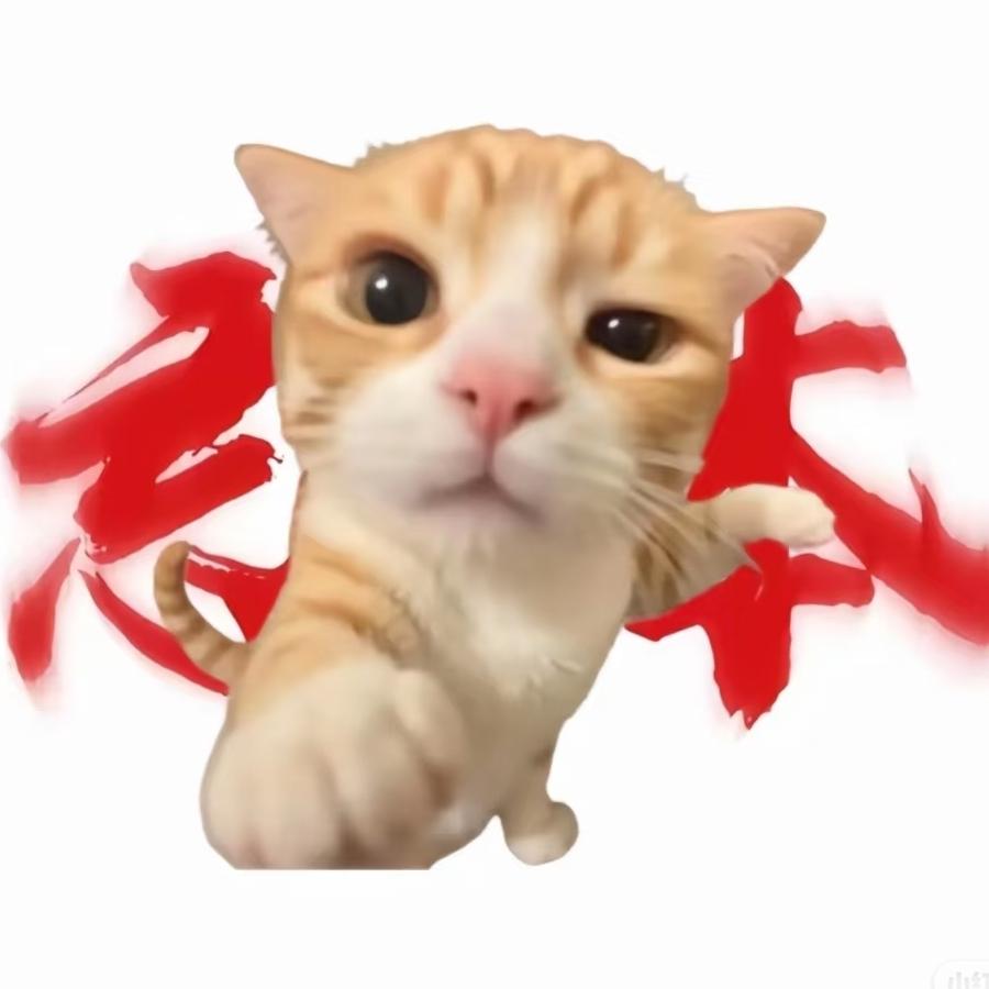666