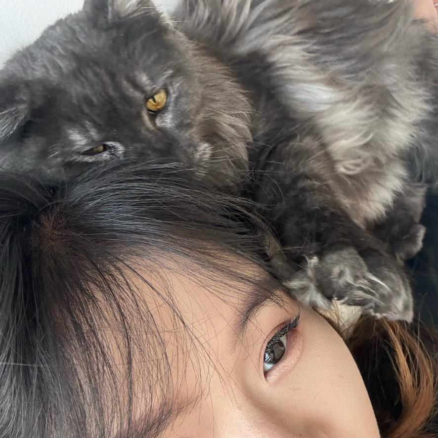 多多.（无畏契约）